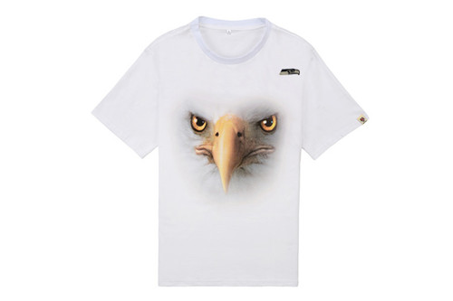 NFL T-shirt-M(10)-033