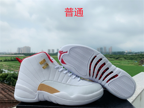 Jordan12-M-002