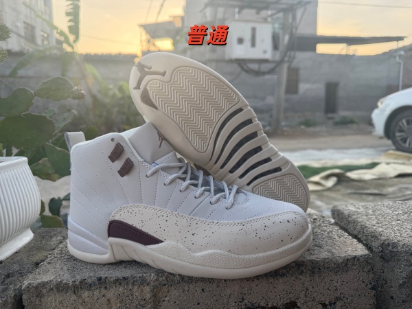 Jordan12-M-0067