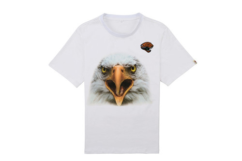 NFL T-shirt-M(10)-058